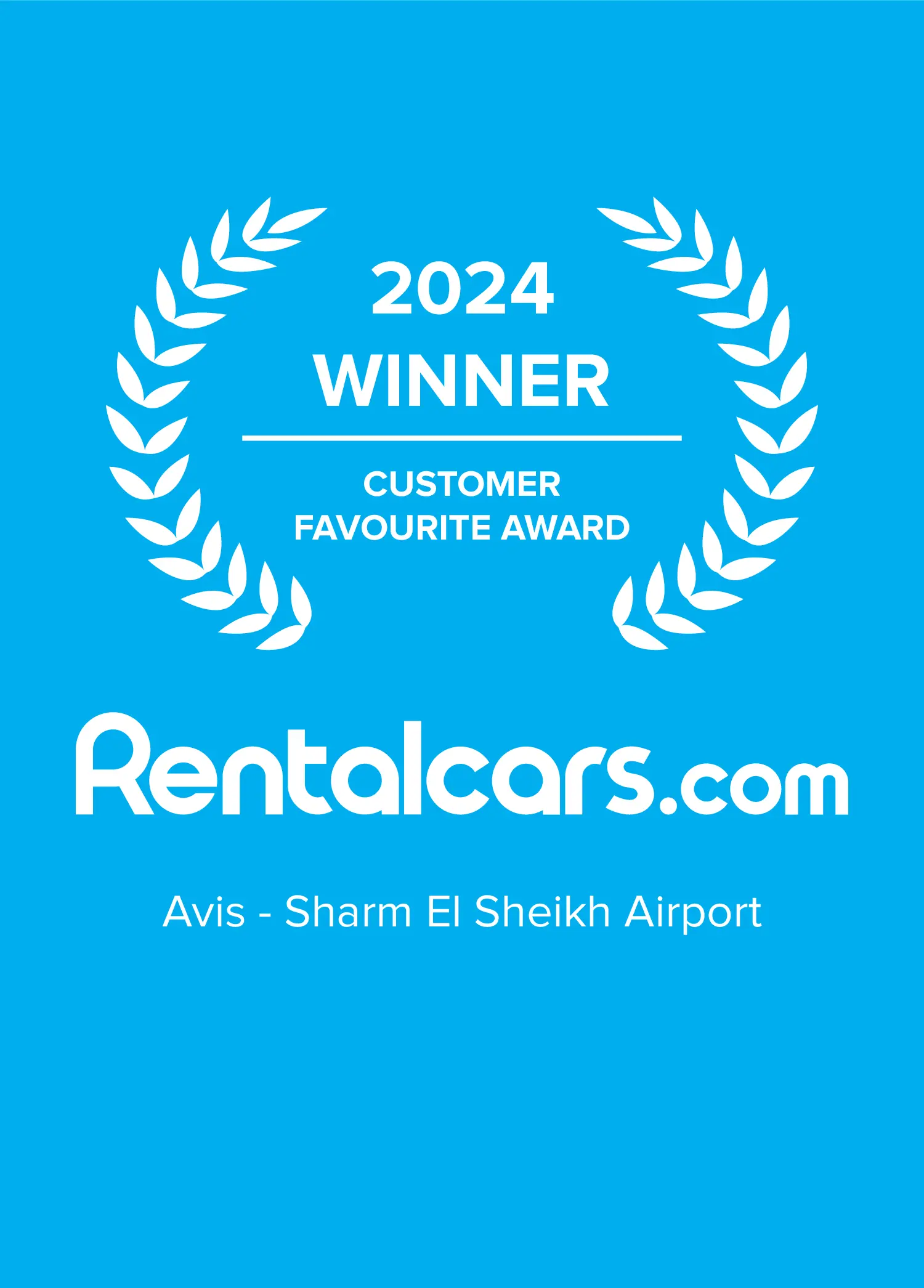 Avis - Sharm El Sheikh Airport 2024y